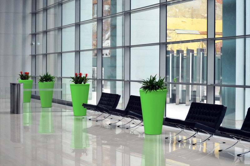 Folia Pot