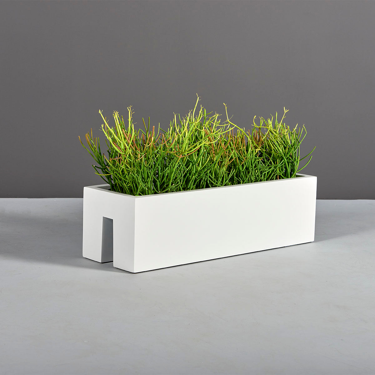 Tiergarden Planter