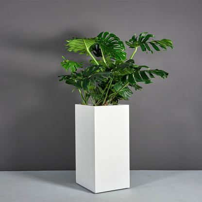 Santiago Planter