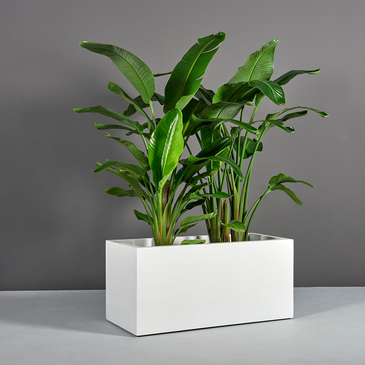 Badalona Planter - Outdoor Living Accessories | FurnitureScapes