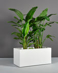 Badalona Planter - Outdoor Living Accessories | FurnitureScapes