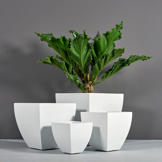 Lima Planter