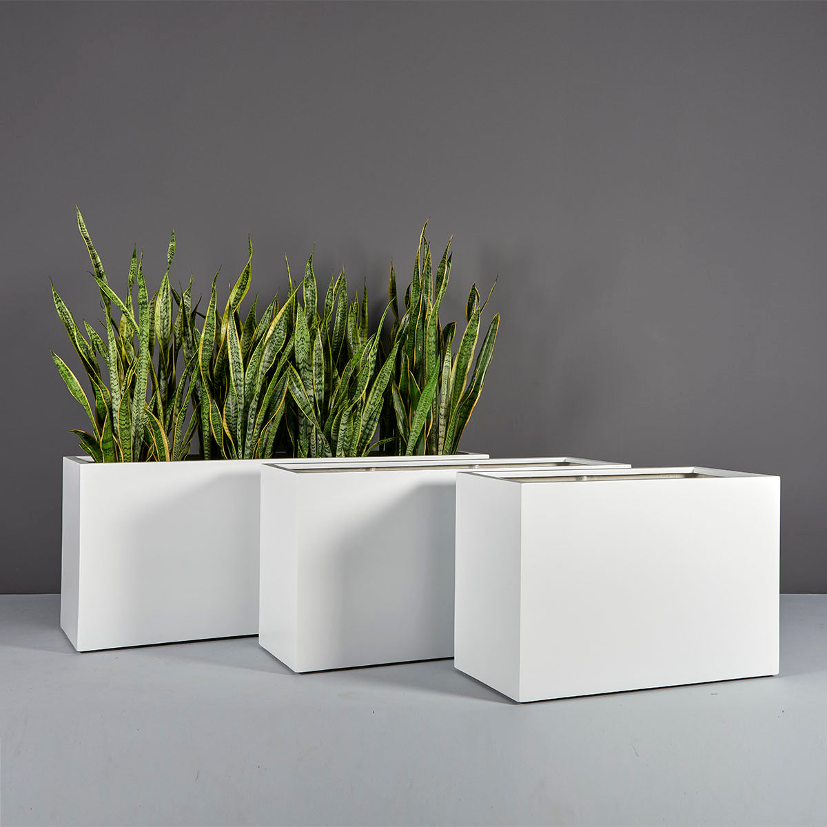 Tolga Planter