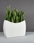 Seoul Planter