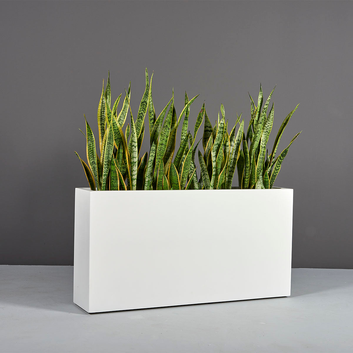 Milano Planter