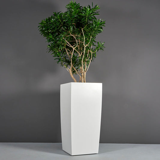 Toulan Planter