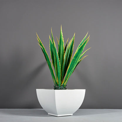 Kathryn Planter