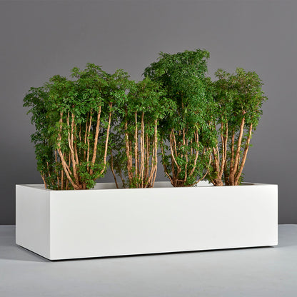 Antwerp Planter
