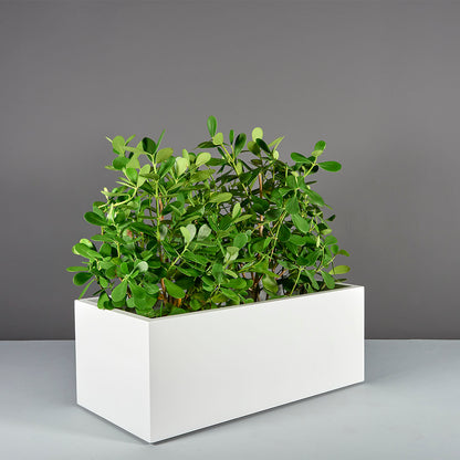 Torino Planter