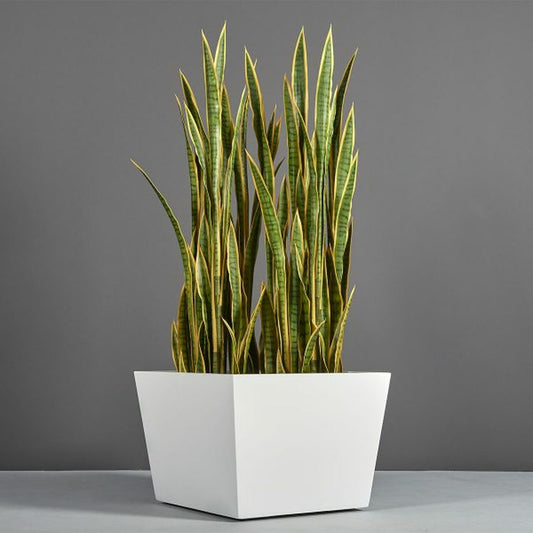 Bergen Planter