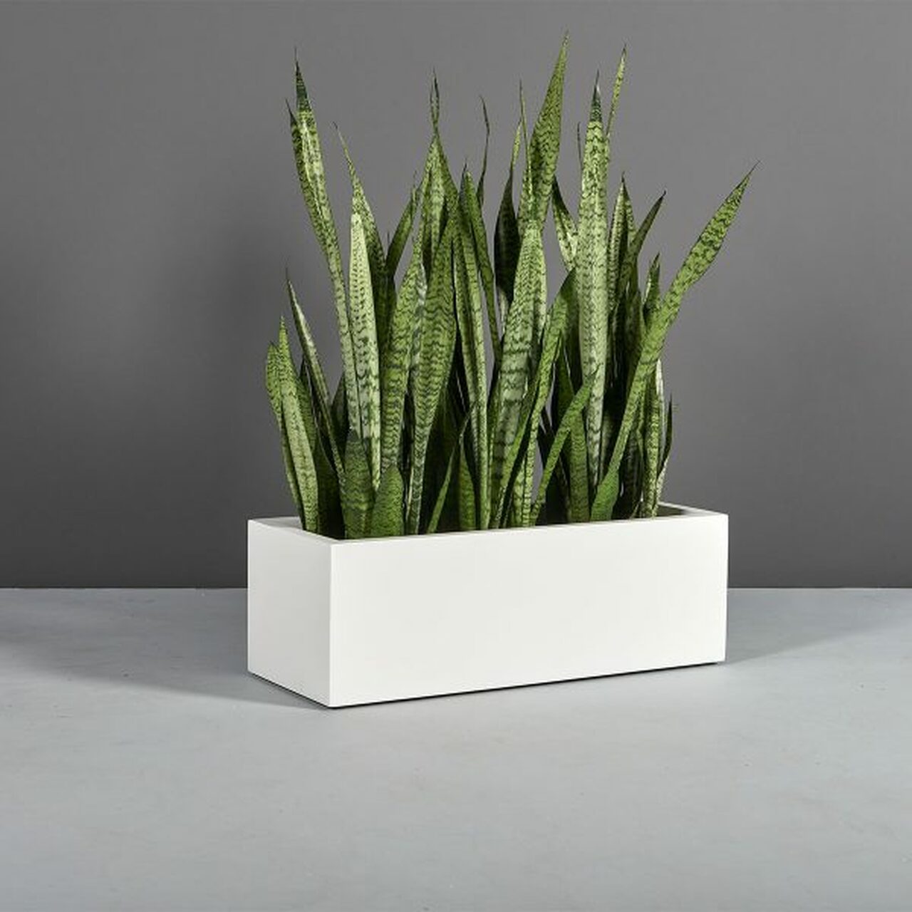 Kiel Planter